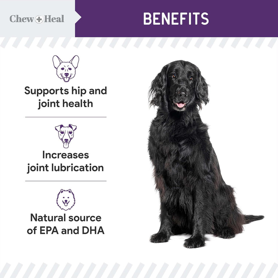 Chew + Heal Labs Dog Salmon Jerky Treats For Hip And Joint - 5 Oz Of Mobility Soft Dog Jerky Treats - Made With Alaskan Salmon, Turmeric, Glucosamine, Chondroitin, Green Lipped Mussel, And More