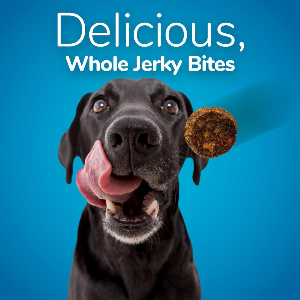 Fruitables Small Dog Treats  Whole Jerky Bites  Healthy Treats  Turkey & Sweet Potato Flavor  5 Ounces