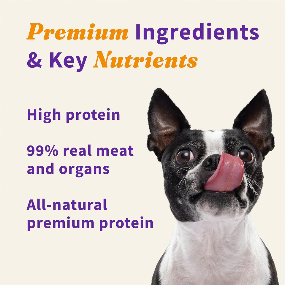Halo Raw Freeze Dried Dog Treats, Beef Recipe, Dog Treats Pouch, All Life Stages, 2.5-Oz Pouch