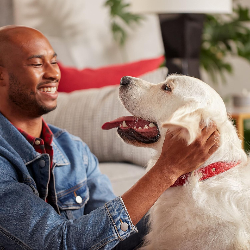 Milk-Bone Original Dog Treats For Large Dogs, 4 Pound (Pack Of 2), Crunchy Biscuit Helps Clean Teeth