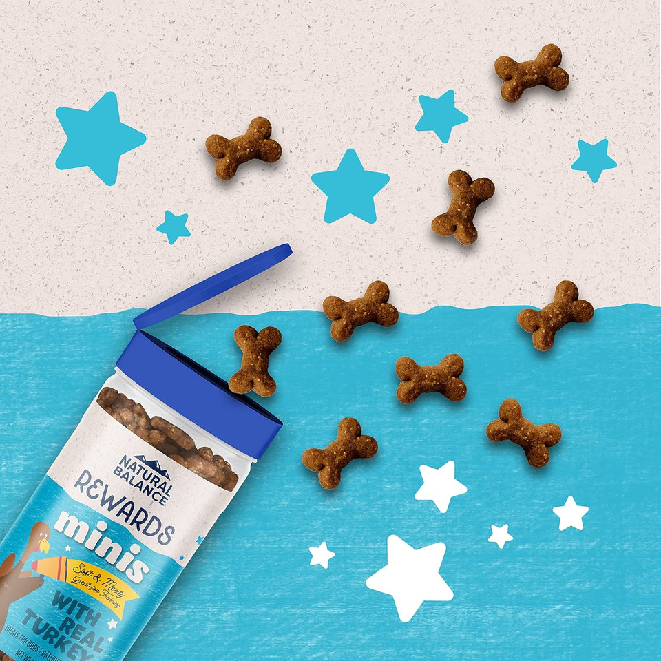 Natural Balance Limited Ingredient Mini-Rewards Turkey Grain-Free Dog Training Treats For Dogs | 5.3-Oz. Canister