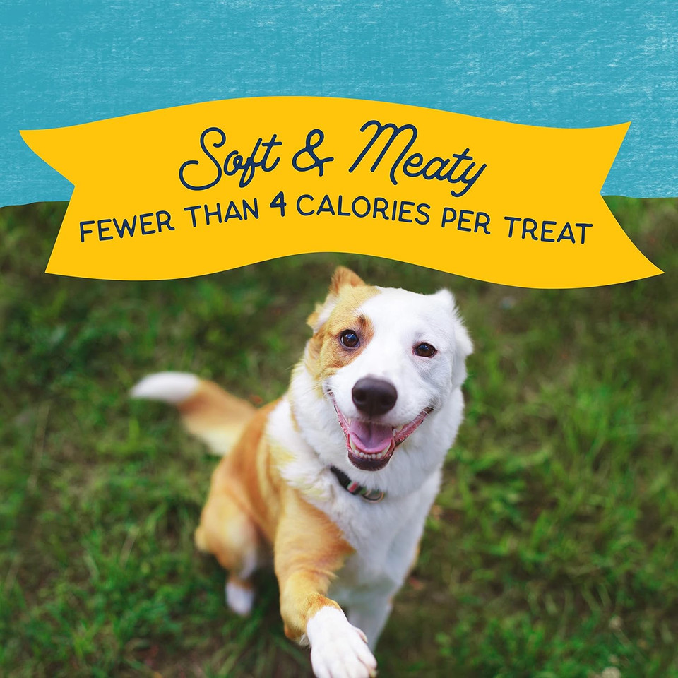 Natural Balance Limited Ingredient Mini-Rewards Turkey Grain-Free Dog Training Treats For Dogs | 5.3-Oz. Canister