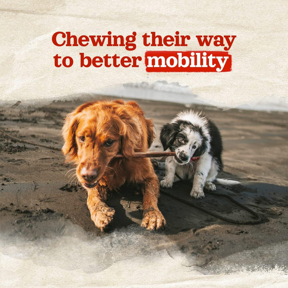 Natural Farm Odor-Free Bully Coated Gourmet Collagen Sticks (6 Inch, 10 Pack), Real Bully Beef Coated, 95% Natural Collagen, Supports Healthy Joints, Skin & Coat - Best For Small & Medium Dogs