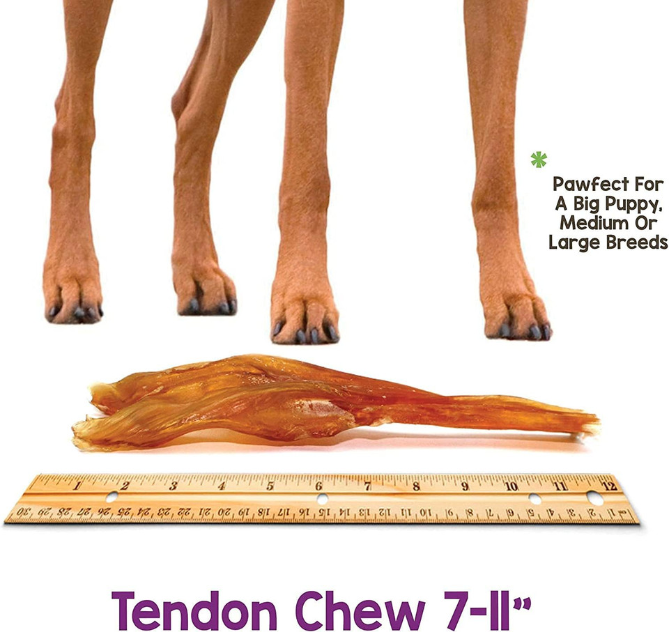 Nature Gnaws Beef Tendons For Dogs 7-11" (12 Count) - Long Lasting For Aggressive Chewers & Large Dogs - Natural Beef Jerky Dog Chew Bones - Rawhide Free
