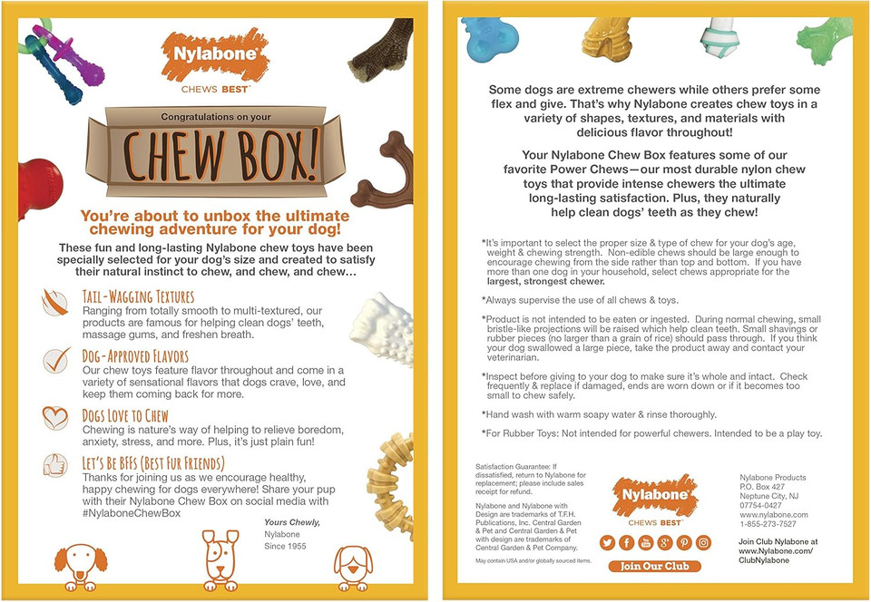 Nylabone Chew Toy Dog Surprise Box Variety Small/Regular (1 Count)