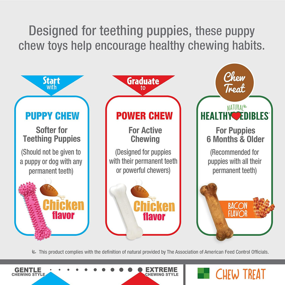 Nylabone Puppy Triple Pack - Pink Puppy Teething Toy, Nylon Dog Toy, & Chew Treat Variety Pack - Puppy Supplies - Chicken And Bacon Flavors, Small/Regular (3 Count)