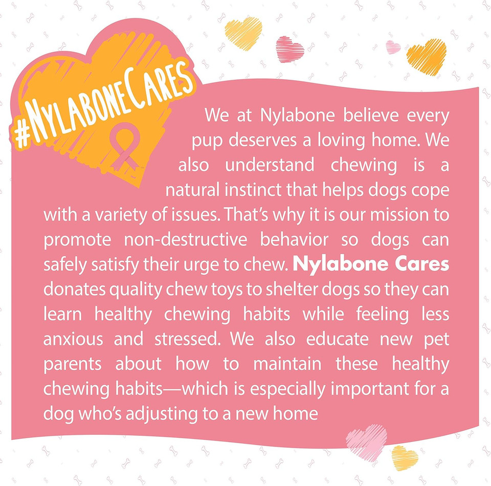 Nylabone Power Chew Breast Cancer Awareness Femur Bone Chew Toy For Dogs, Indestructible Dog Toys For Aggressive Chewers, Chicken Flavor, X-Large/Souper (1 Count)
