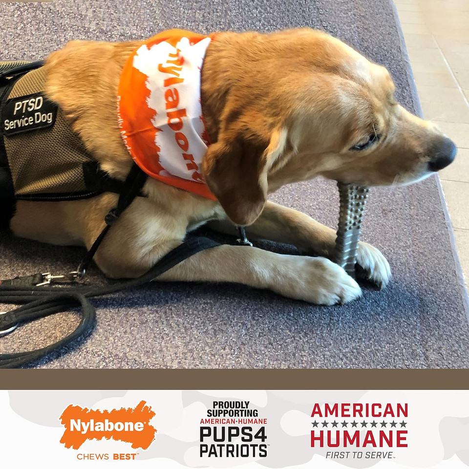 Nylabone Power Chew Camo Dog Toy - Dog Toys For Aggressive Chewers - Indestructible Dog Toys For Aggressive Chewers Large Breed - For Extra Large Dogs - Chicken Flavor X-Large/Souper - 50+ Lbs