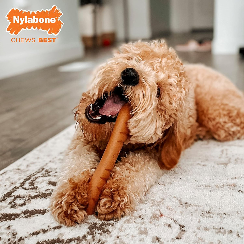 Nylabone Baguette Bread Dog Toy Power Chew  Cute Dog Toys For Aggressive Chewers  With A Funny Twist! Bistro-Style Roast Chicken Flavor, Large/Giant