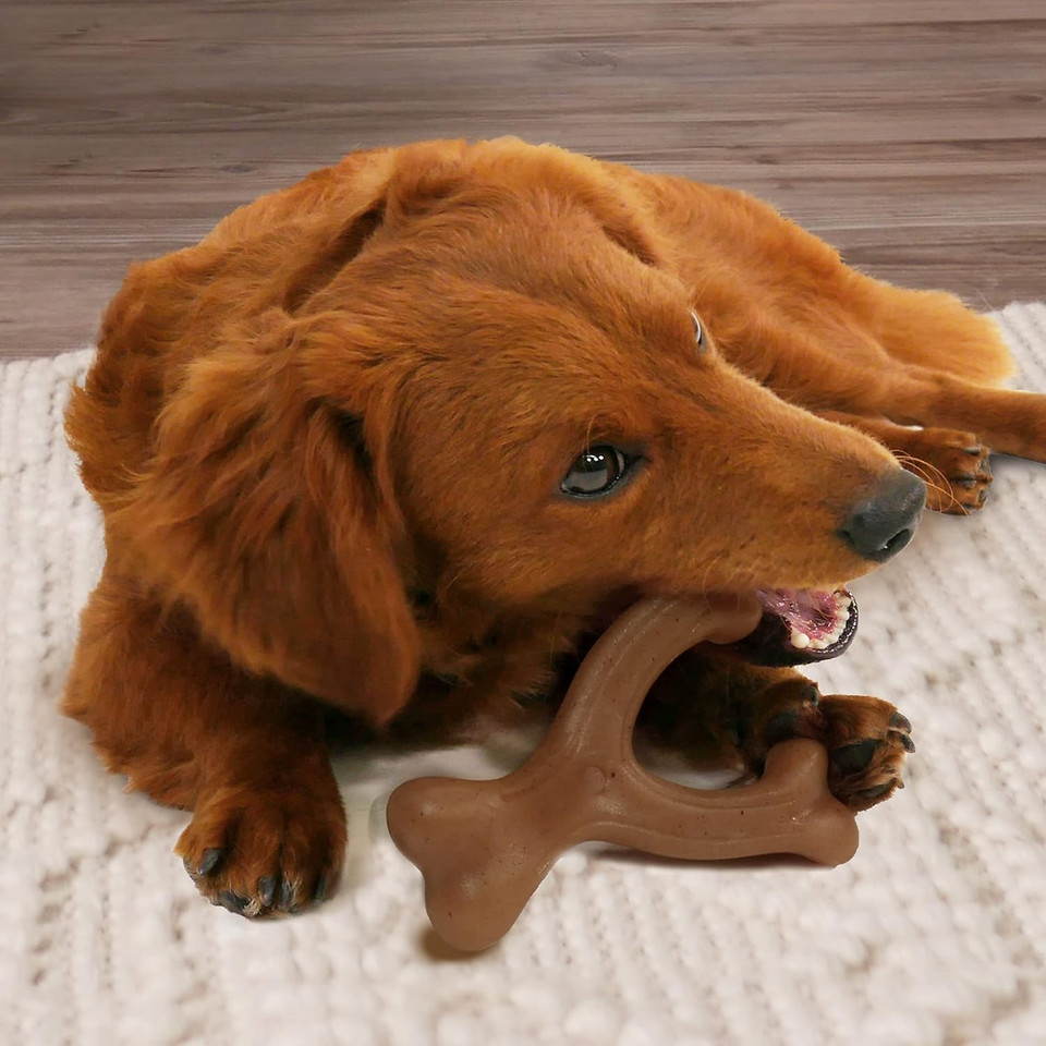 Nylabone Gourmet Style Strong Dog Chew Toy Bundle Bacon & Peanut Butter Small/Regular (2 Count)