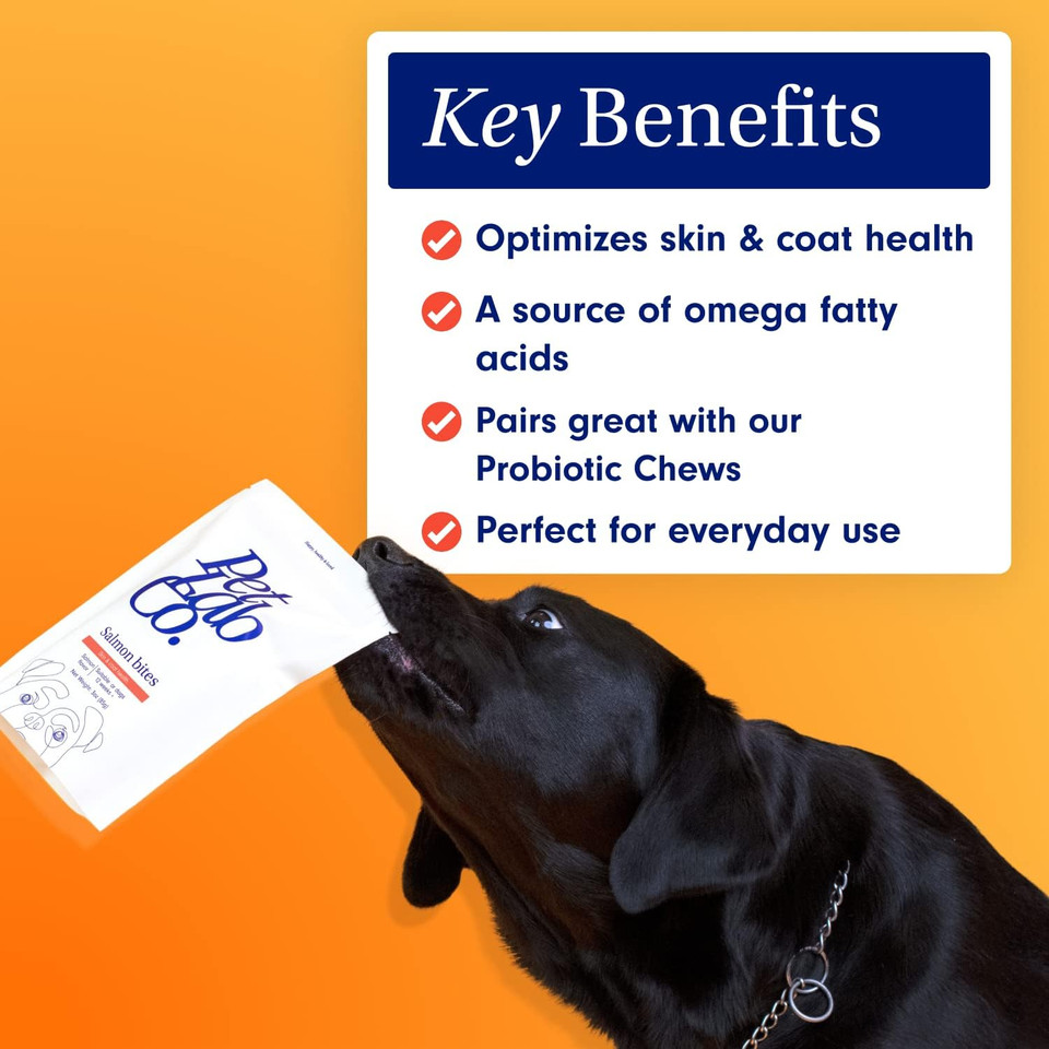 Petlab Co. Salmon Bites For Dogs  Premium Salmon Dog Treats With Beneficial Fatty Acids, Vitamins & Minerals - Carefully Selected Ingredients  Delicious Reward