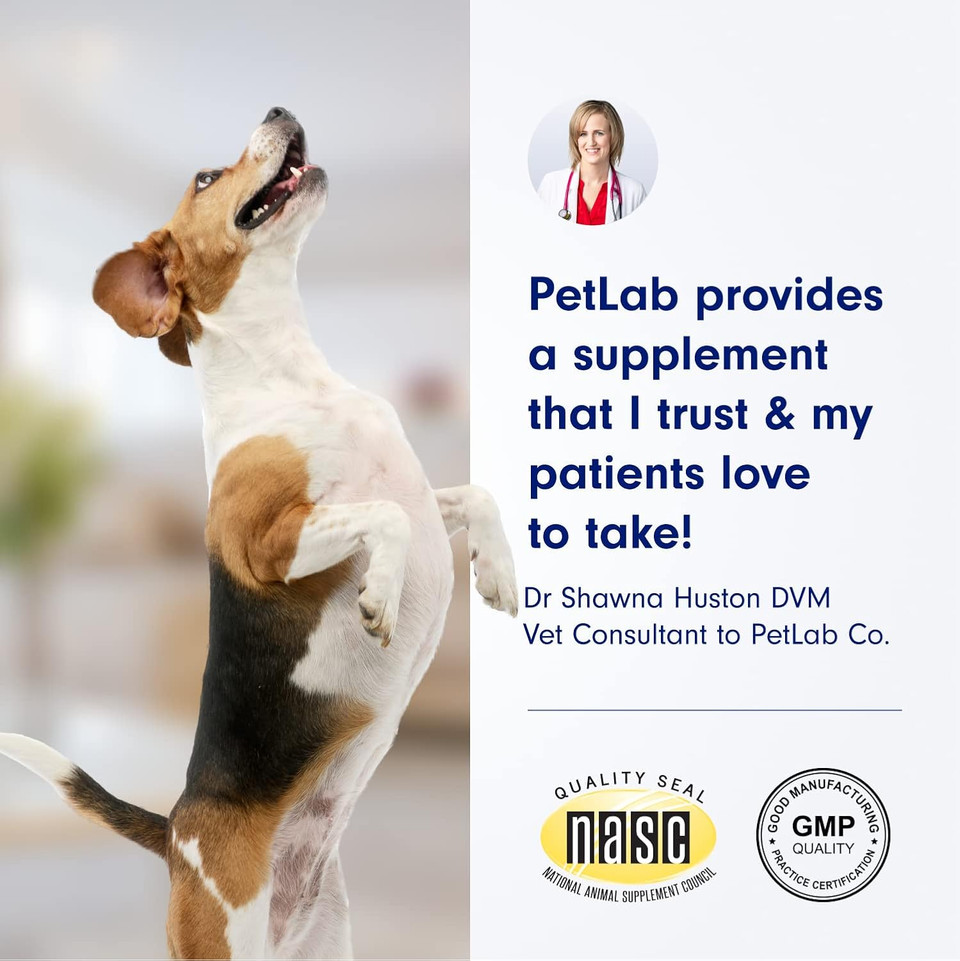 Petlab Co. Salmon Bites For Dogs  Premium Salmon Dog Treats With Beneficial Fatty Acids, Vitamins & Minerals - Carefully Selected Ingredients  Delicious Reward