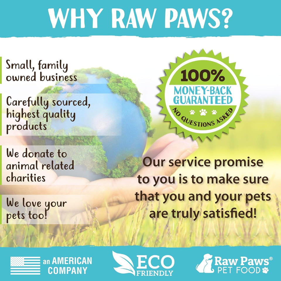 Raw Paws Lamb Pizzle Twists For Dogs - 5-9 Inch, 10-Ct - Usa Packed Natural Lamb Pizzle Sticks - Free-Range, Digestible Lamb Bully Sticks - Grain-Free Lamb Twist Dog Chew Sticks - Lamb Dog Treats