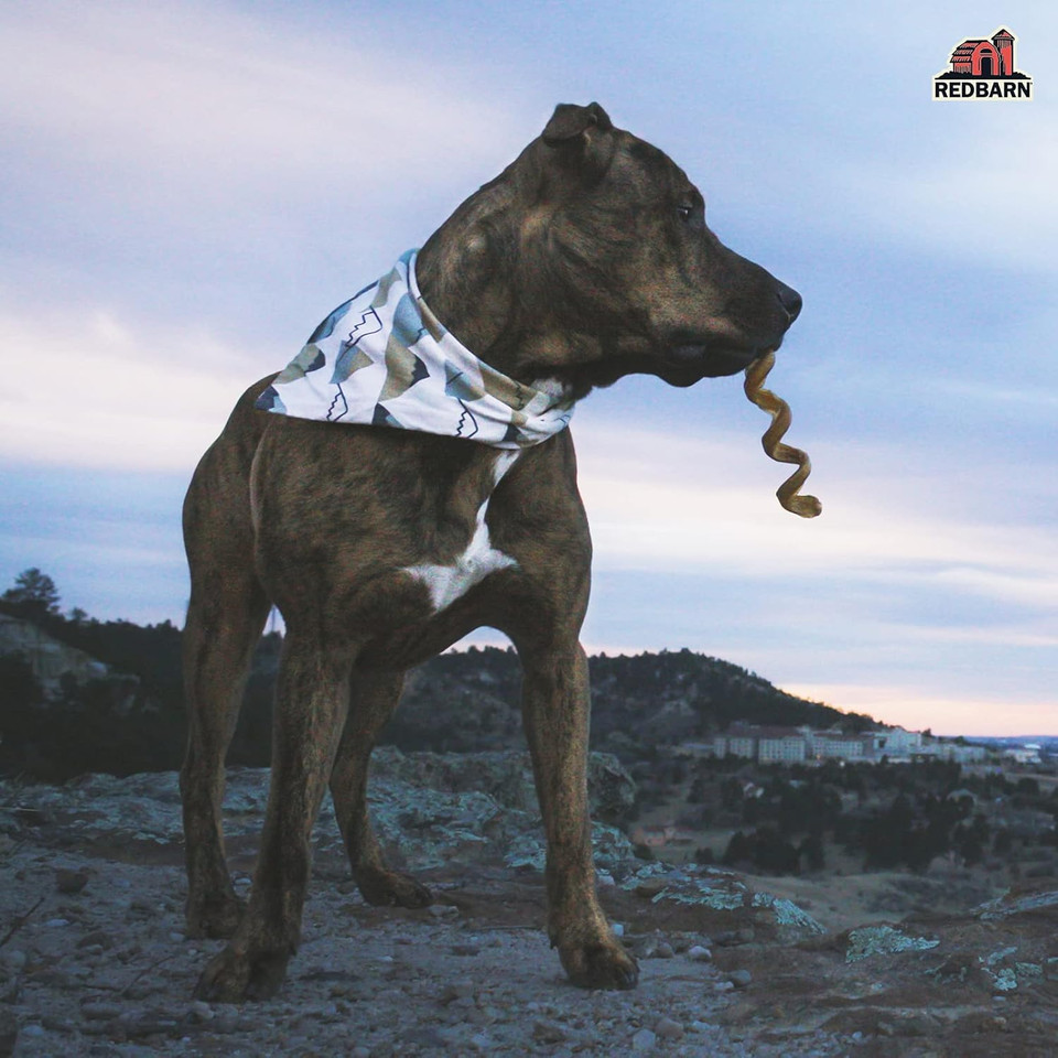 Redbarn Naturals 200005 Odor Free Bully Springs Pet Chew Treat (25 Case), One Size