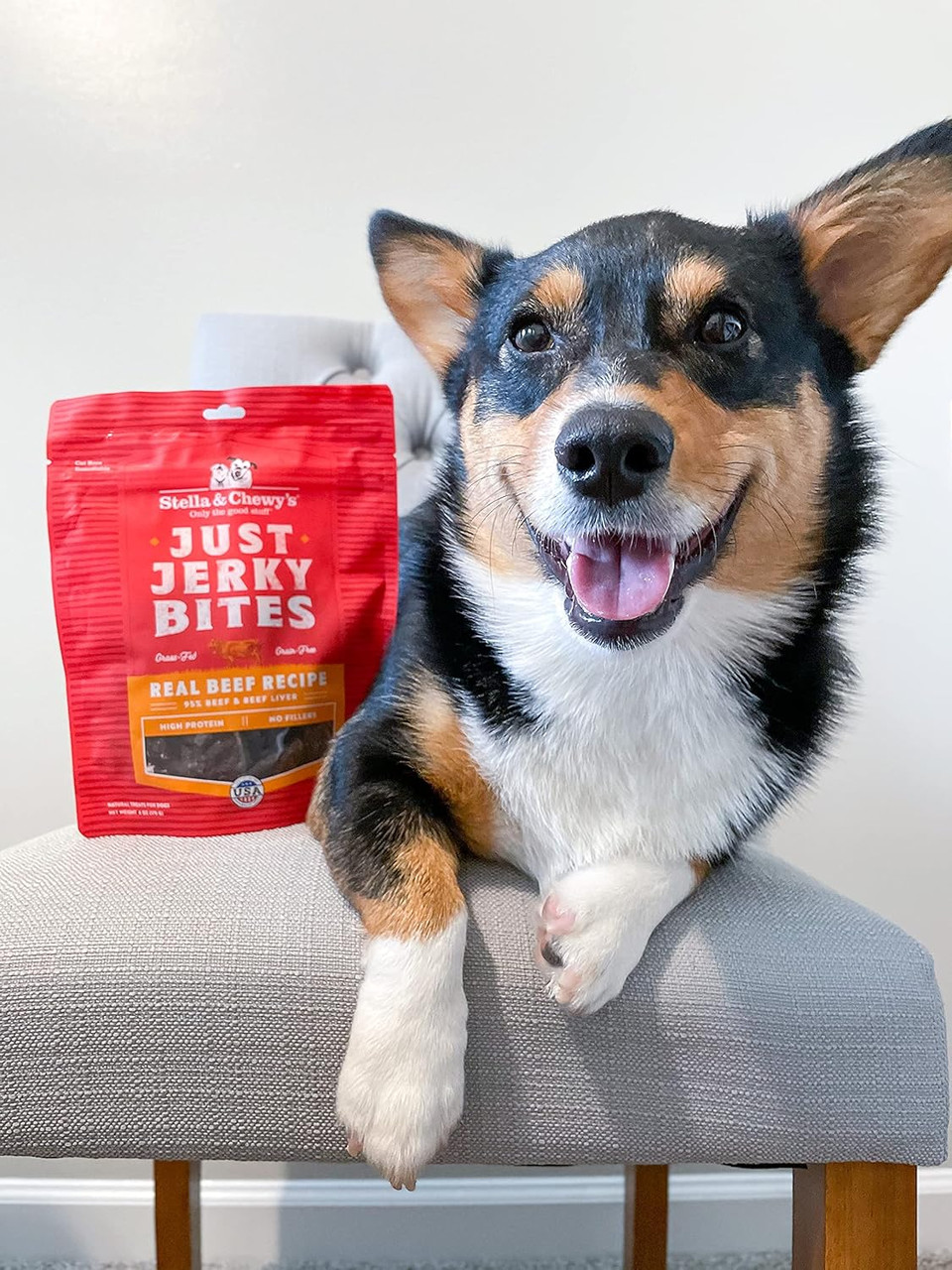 Stella & Chewy'S Just Jerky Bites Real Chicken Recipe Dog Treats, 6 Oz. Bag