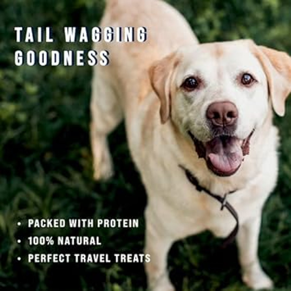 Stewart Freeze Dried Dog Treats, Beef Liver, Salmon, Chicken Liver & Chicken Breast, 4 Oz, 12 Oz, 14 Oz, 21 Oz, Resealable Tub, Grain Free & Gluten Free, Single Ingredient, Dog Training Treats