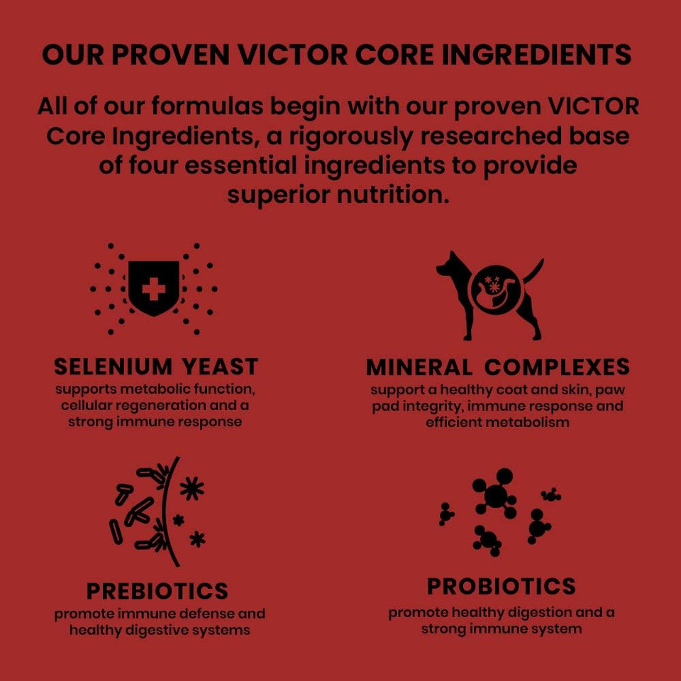 Victor Super Premium Dog Food  Classic Crunchy Dog Treats With Lamb Meal  Gluten-Free Treats For Small, Medium And Large Breed Dogs, 14Oz