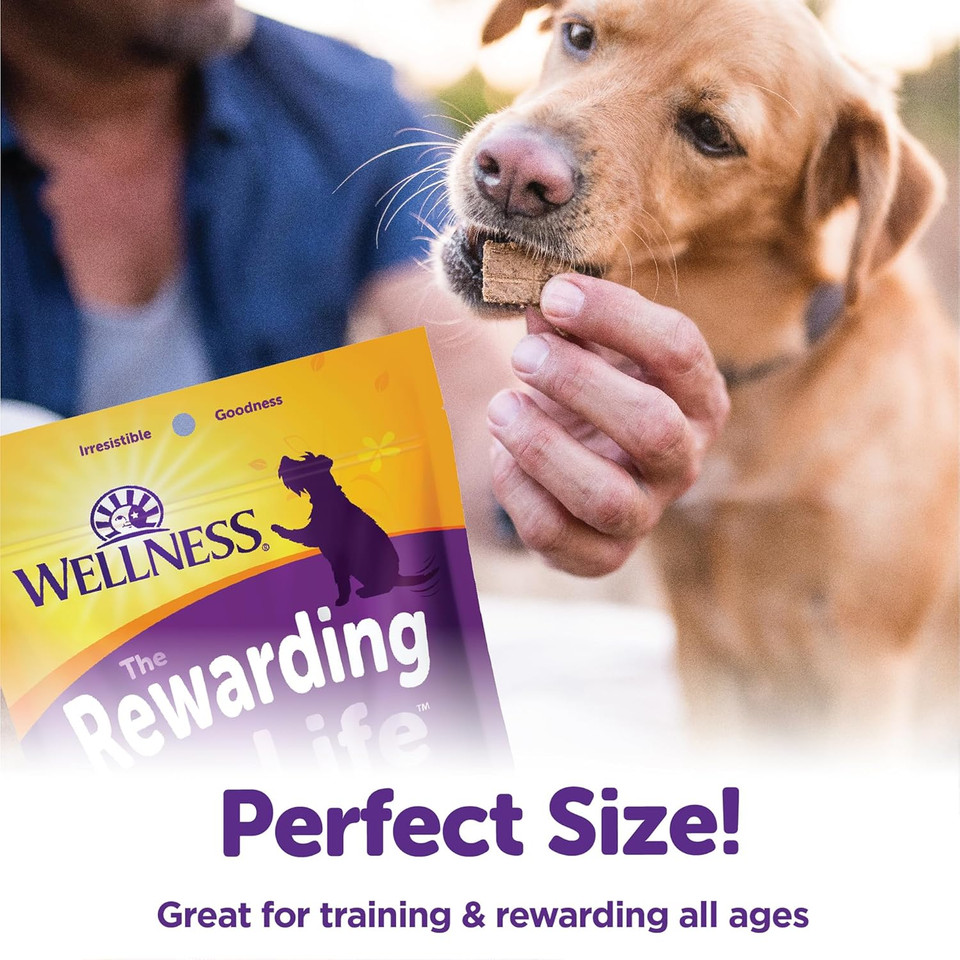 Wellness Rewarding Life Grain-Free Soft Dog Treats, Made In Usa With Healthy Ingredients, Ideal For Training (Lamb & Salmon, 6-Ounce Bag)