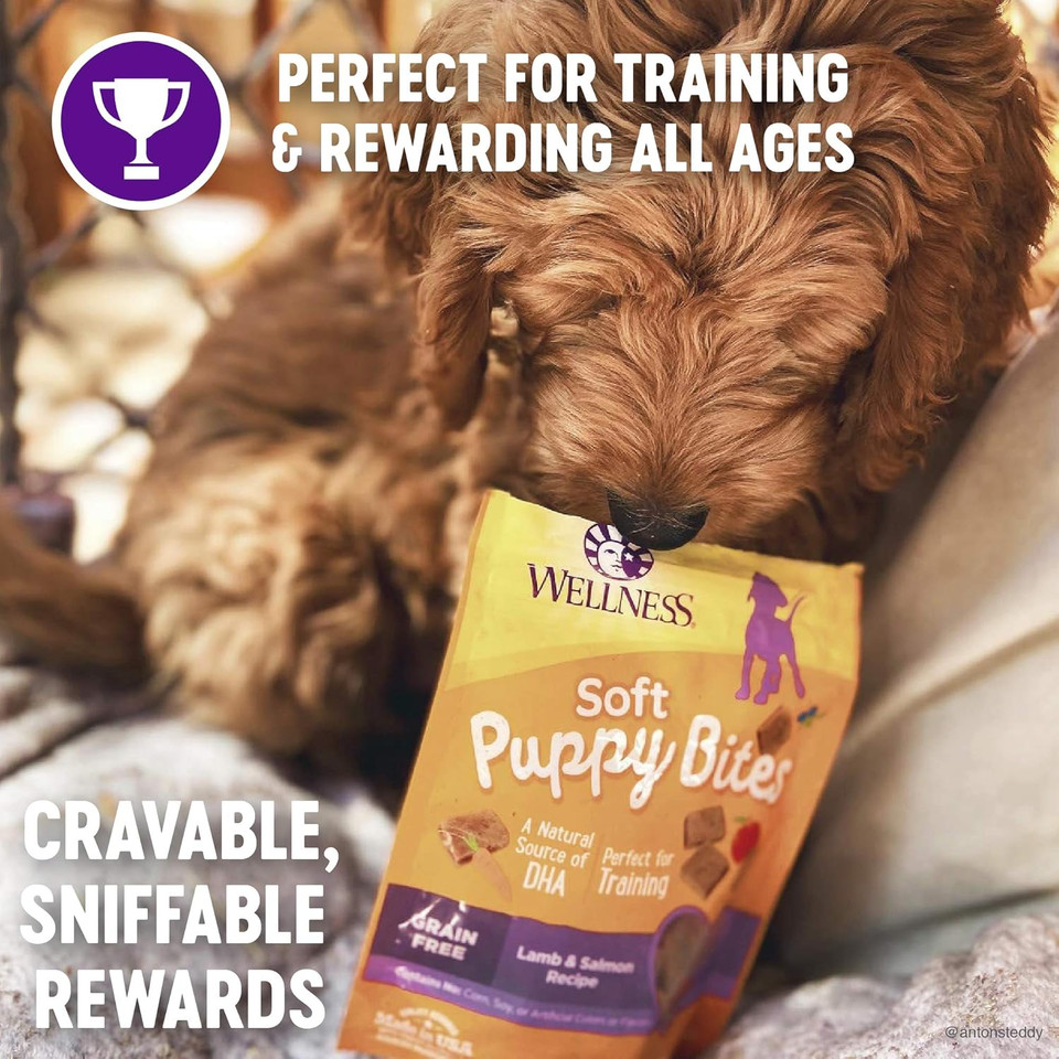 Puppy Pack: Includes Crunchy Puppy Treats And Soft Puppy Treats