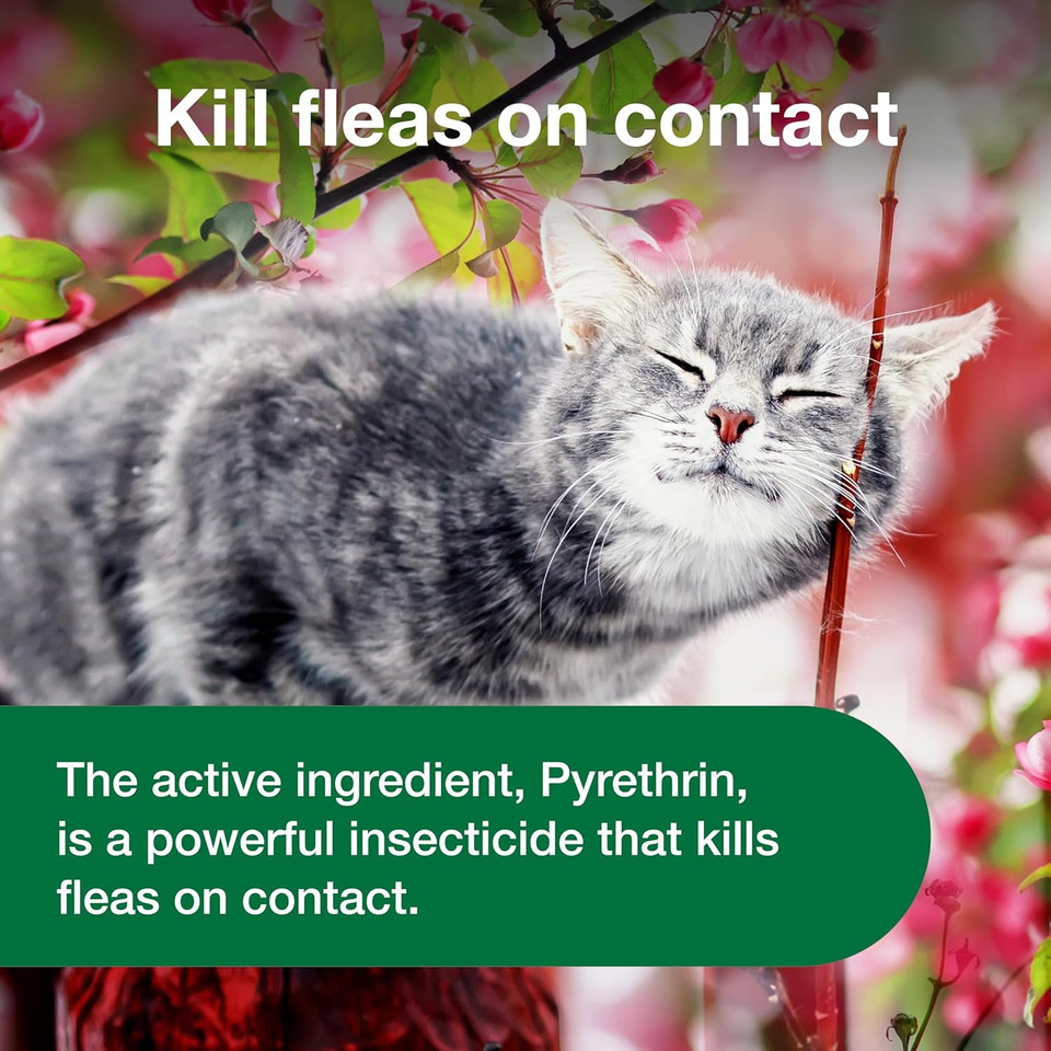 Advantage Cat Flea Treatment Spray | Kills Fleas & Ticks | Cat Flea Spray | 8 Oz