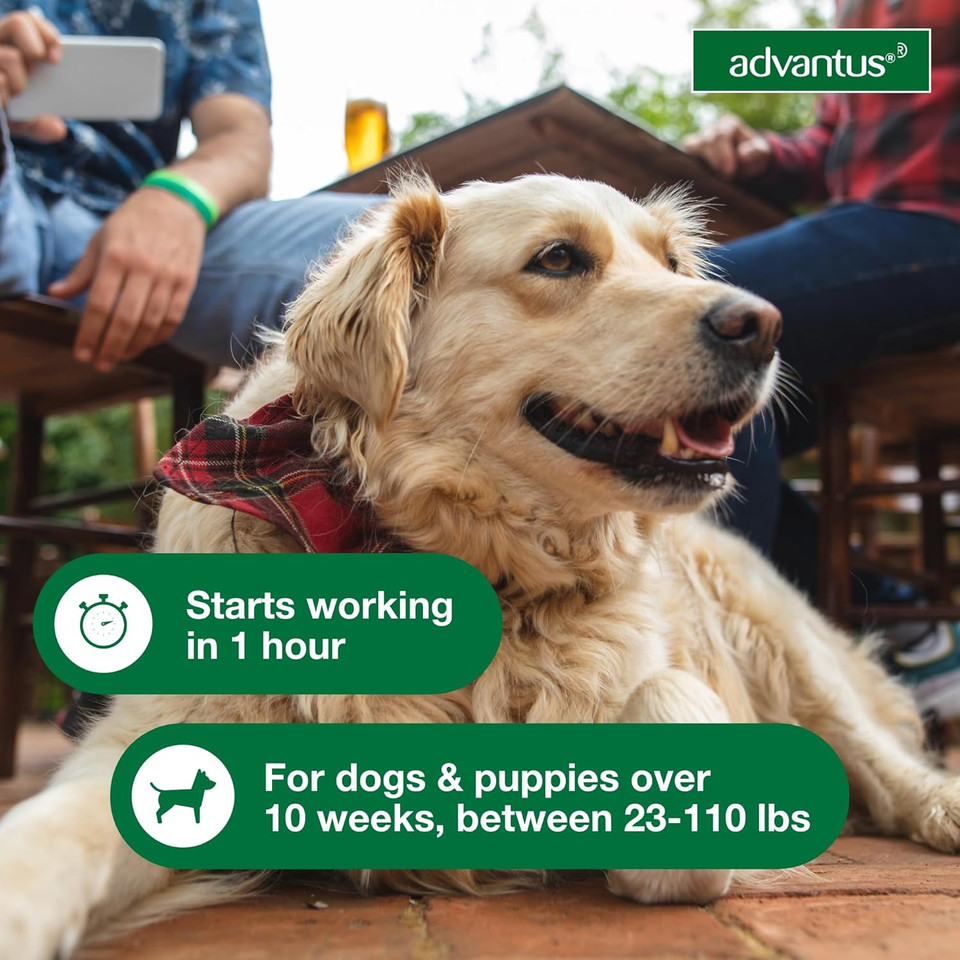 Advantus Dog Advantus Chewable Flea Treatment For Dogs 23 - 110 Lbs. | 30 Ct