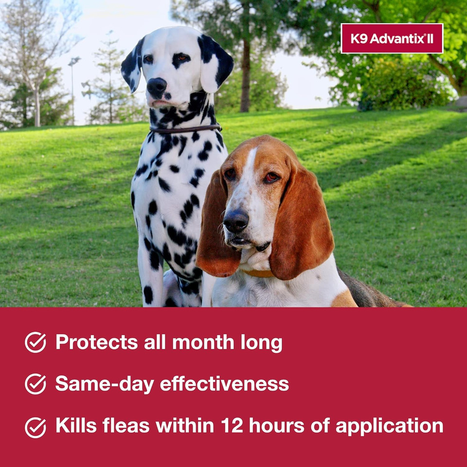 K9 Advantix Ii Xl Dog Vet-Recommended Flea, Tick & Mosquito Treatment & Prevention | Dogs Over 55 Lbs. | 6-Mo Supply