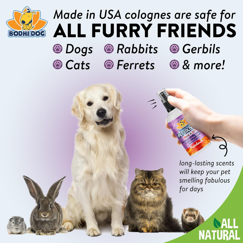 Bodhi Dog Natural Dog Cologne | Premium Scented Deodorizing Body Spray For Dogs & Cats | Neutralizes Strong Odors | Dog Perfume With Natural Dog Conditioner | Made In Usa (Patchouli, 4 Fl Oz)