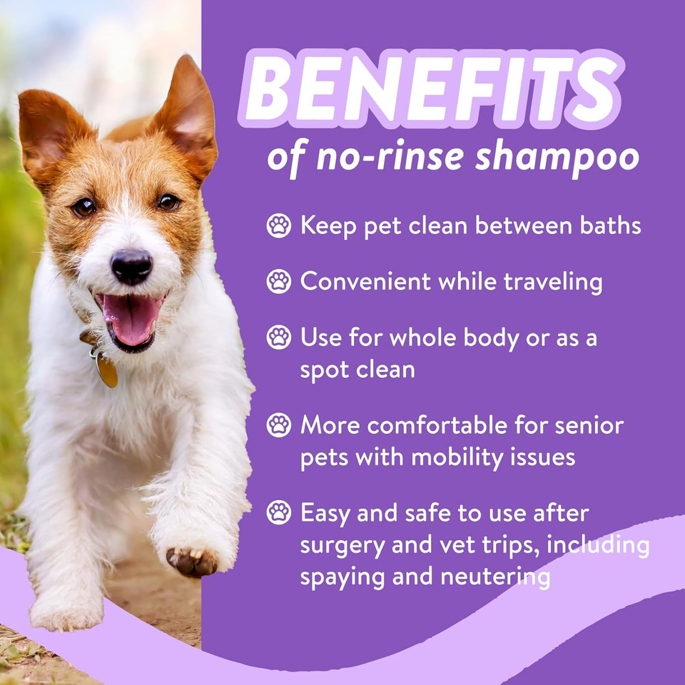 Bodhi Dog Waterless Shampoo | Natural Dry Shampoo For Dogs Or Cats | Neutralizes Pet Odor | No Rinse Required | Made With Natural Extracts | Vet Approved- Made In Usa (Lavender, 8 Fl Oz)