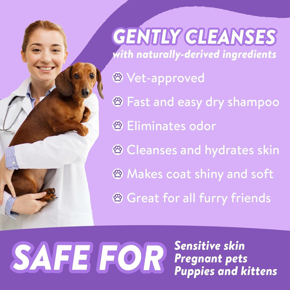 Bodhi Dog Waterless Shampoo | Natural Dry Shampoo For Dogs Or Cats | Neutralizes Pet Odor | No Rinse Required | Made With Natural Extracts | Vet Approved- Made In Usa (Lavender, 8 Fl Oz)