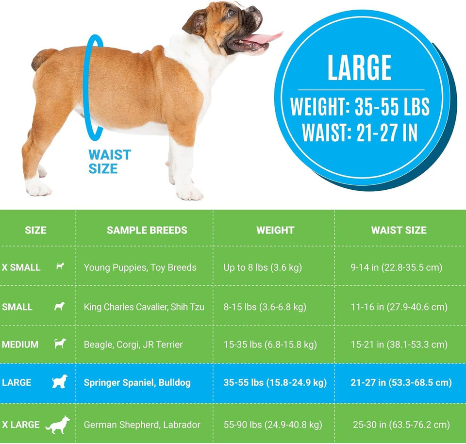 Bodhi Dog Disposable Male Dog Diapers | Super Absorbent Leak-Proof Fit | Premium Adjustable Male Dog Pee Wraps With Moisture Control & Wetness Indicator | 20 Count Large Size