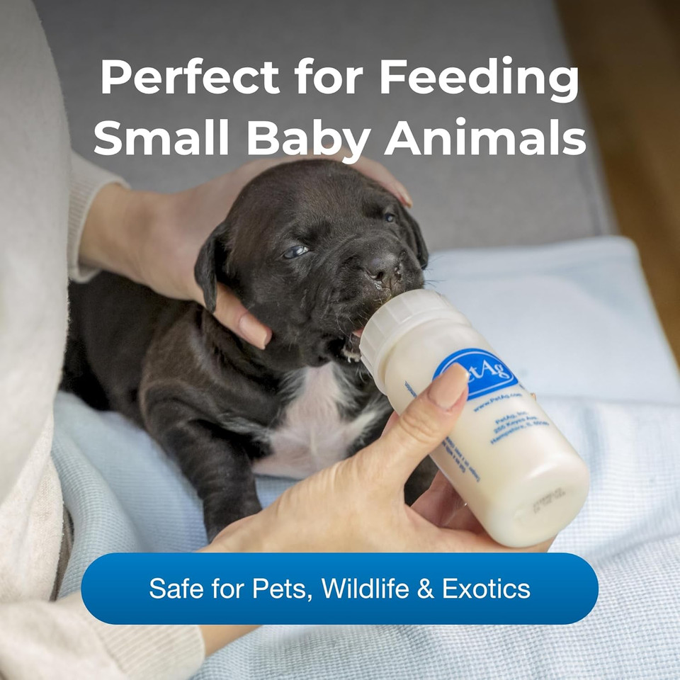 Pet-Ag Nursing Kit - 2 Oz, Pack Of 2 - Promotes The Natural Feeding Of Liquids To Baby Animals - Each Kit Includes 2 Oz. Bottle With Cap, 5 Nipples & Cleaning Brush