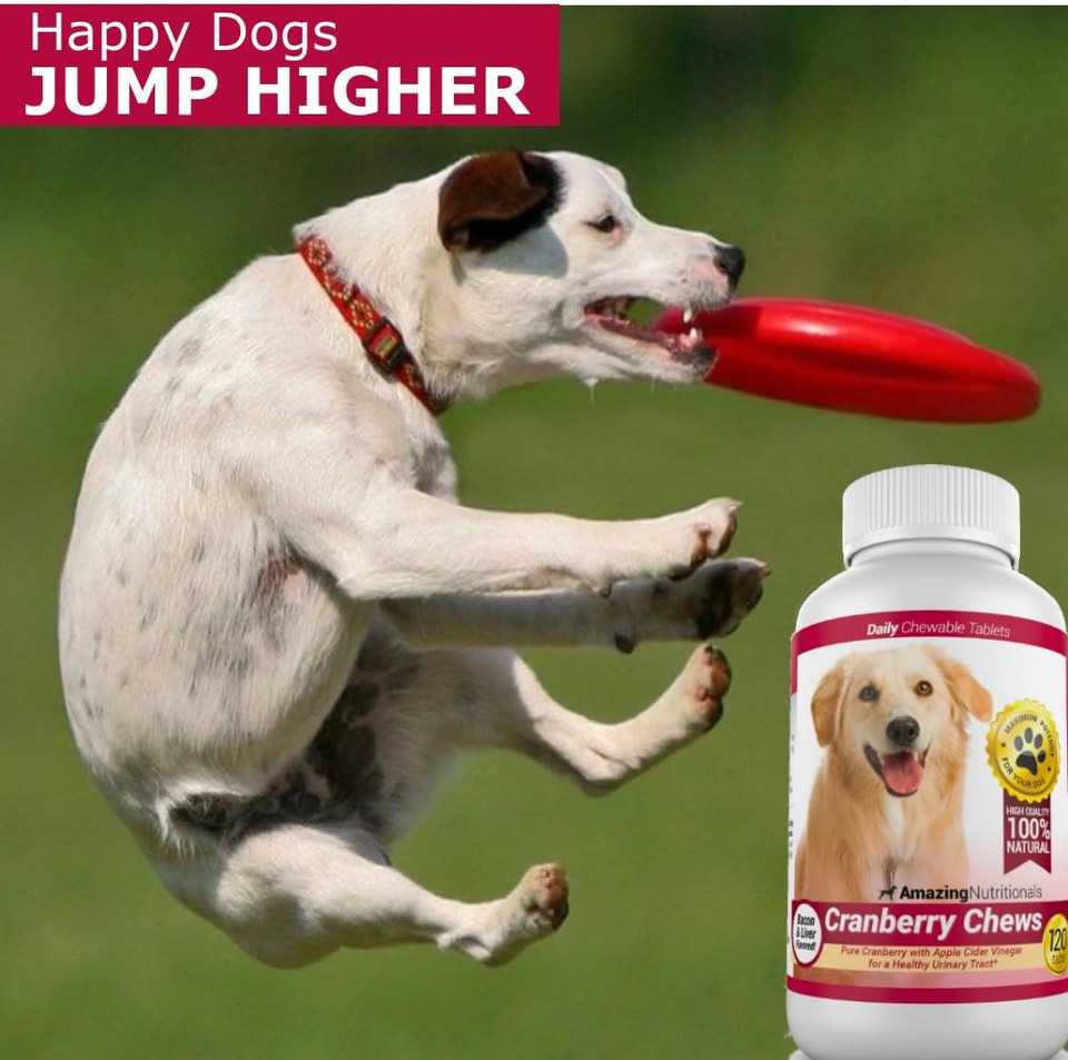 Amazing Cranberry For Dogs Pet Antioxidant, Urinary Tract Support Prevents And Eliminates Uti In Dogs, 120 Chews
