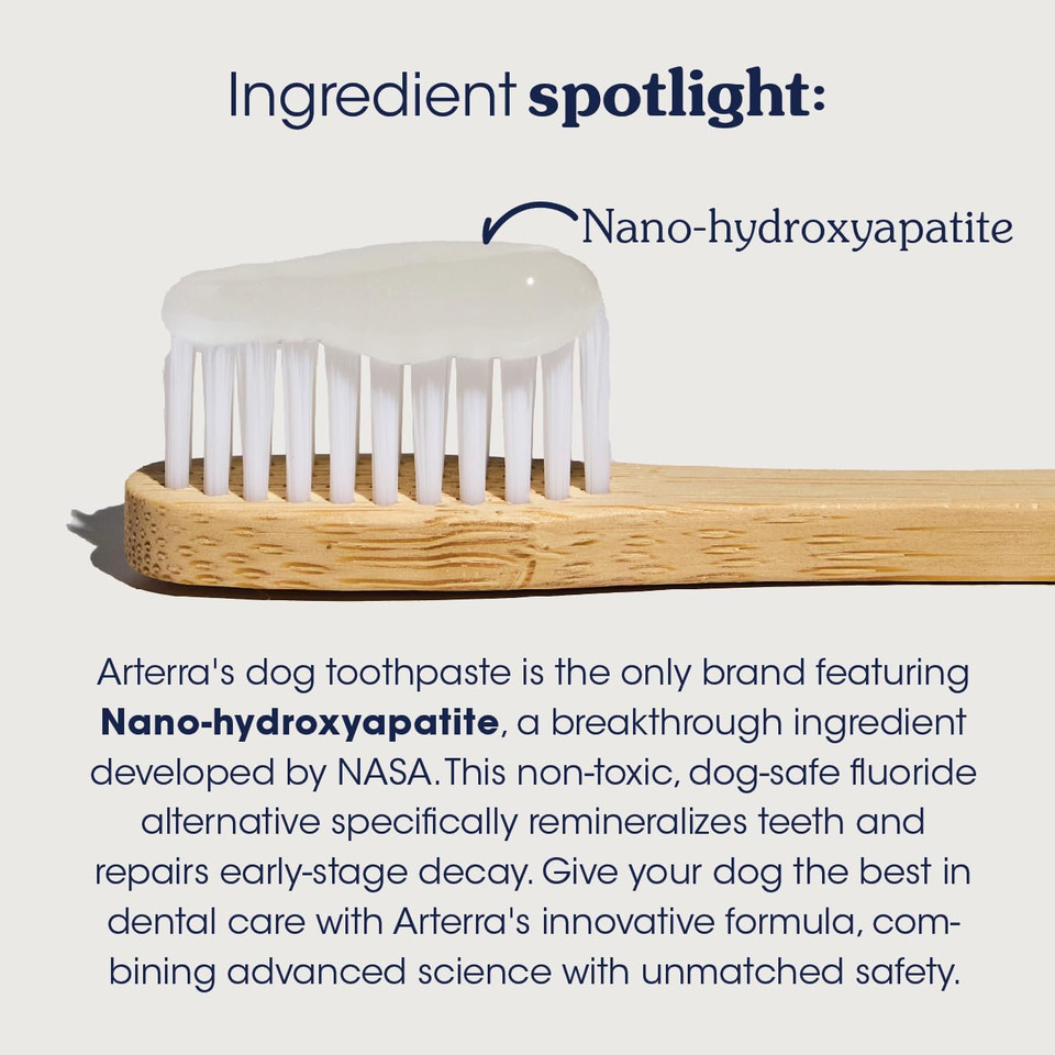 Remineralizing Dog Toothpaste  Vet-Grade, With Nano-Hydroxyapatite, Reverses Early-Stage Decay, Cleans Teeth, Removes Tartar, Freshens Breath By Arterra Pet Science, Plant-Based, Natural Flavor, 4Oz