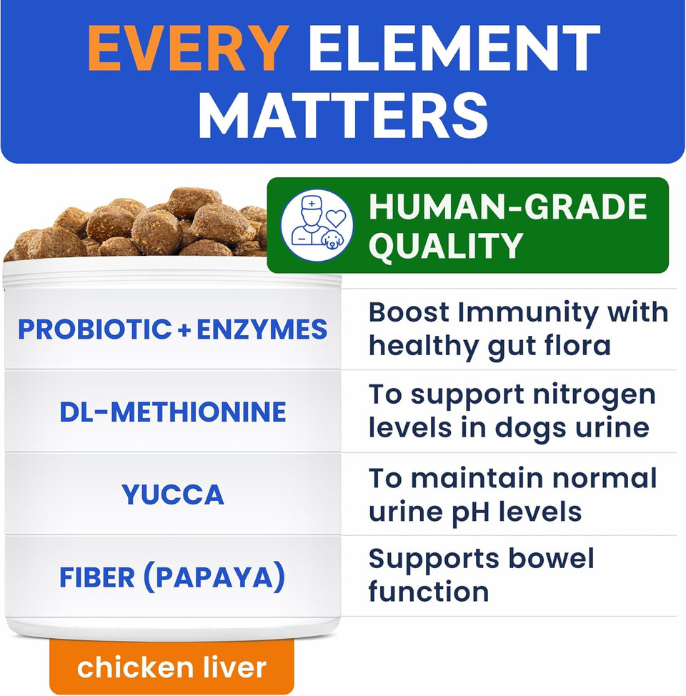 Bark&Spark Green Grass Chews - Pee Grass Spot Saver Caused By Dog Urine - Urine Neutralizer For Lawn, Gut Health Probiotics & Digestive Enzymes,Lawn Burn From Dog Urine, Grass Burn Spot Chews, Rocks