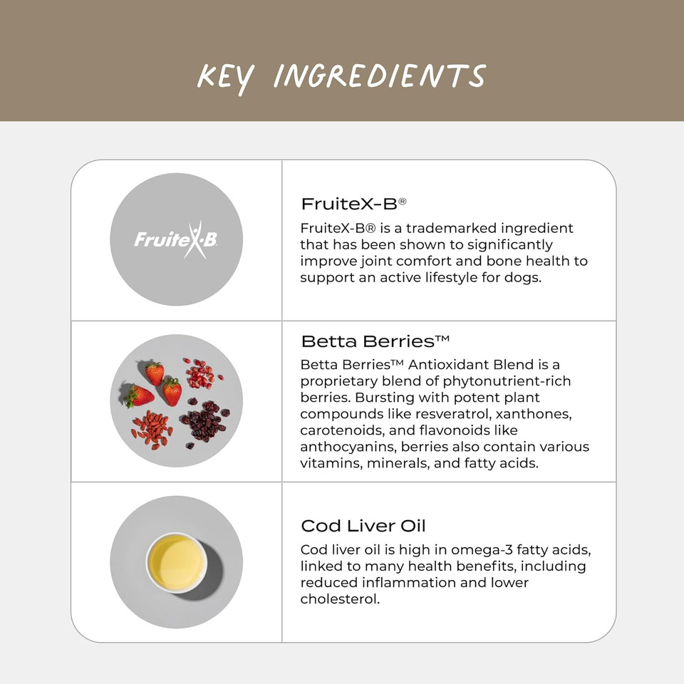 Cymbiotika Dog Hip & Joint Support Supplement, Cod Liver Oil And Msm Supplement For Dog Bone Health Support, Omega Rich Chewy Treats For Small To Large Breed Dogs, Peanut Butter Flavor, 50 Chews