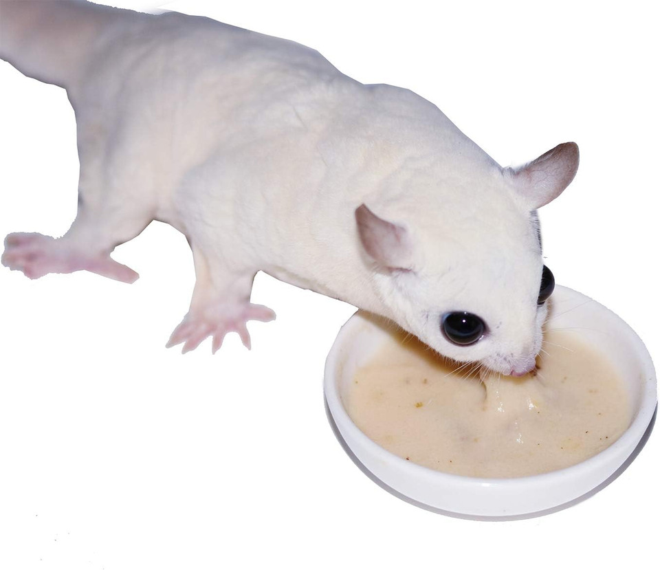 Exotic Nutrition Gliderade Nectar (1.5 Lb.) - Vitamin-Enriched Healthy Nectar Supplement - Powdered Mix - Provides Necessary Carbohydrates For Sugar Gliders