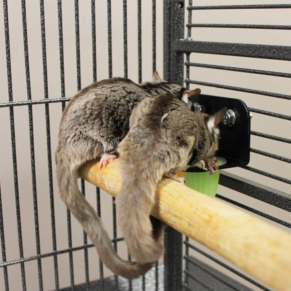 Nectar Pods Holder - Durable Cage Accessory For Nectar Pods - Sugar Gliders, Marmosets, Squirrels, Parrots, Cockatiels, Parakeets, Lovebirds, Birds, Hamsters, Day Geckos, Kinkajous & Other Small Pets