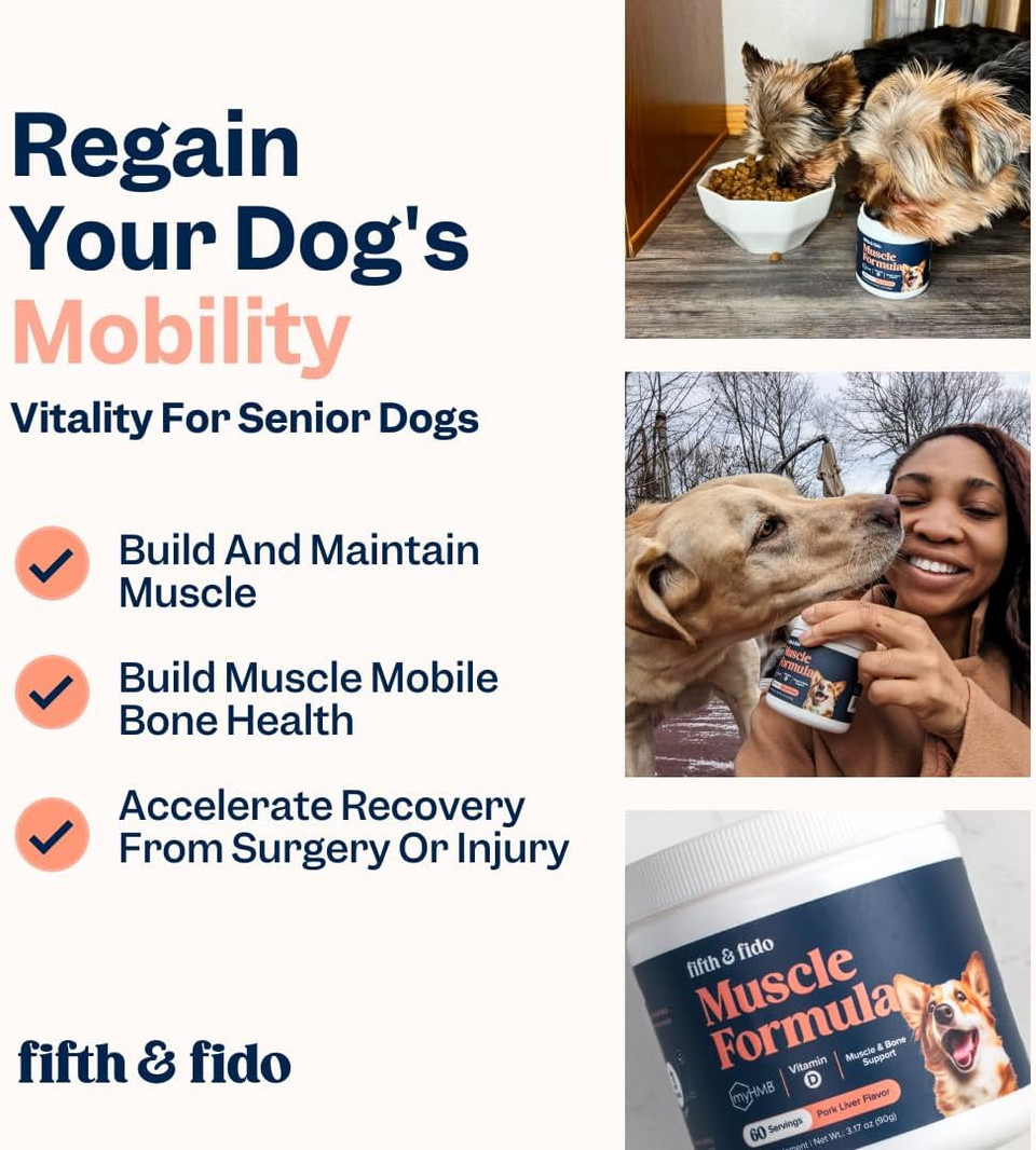 Dog Weight Gainer - Weight Gain Dog Food - Dog Protein Powder - High Calorie Weight Gainer For Dogs - Dog Muscle Builder - Puppy Weight Gainer