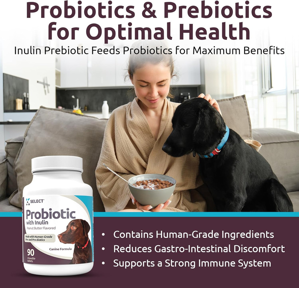 K9 Select Probiotic For Dogs, With Inulin - 90 Chewable Tablets - Supports Healthy Digestion And Nutrient Absorption - Dog Probiotics And Digestive Enzymes - Probiotics For Dogs Digestive Health