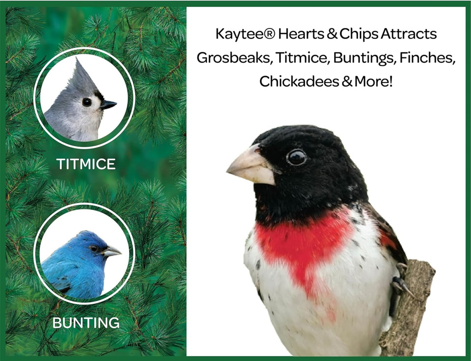 Kaytee Sunflower Hearts & Chips Wild Bird Food For Cardinals, Chickadees, Finches, Goldfinches, Grosbeaks, Nuthatches, And Titmice, 14 Lb