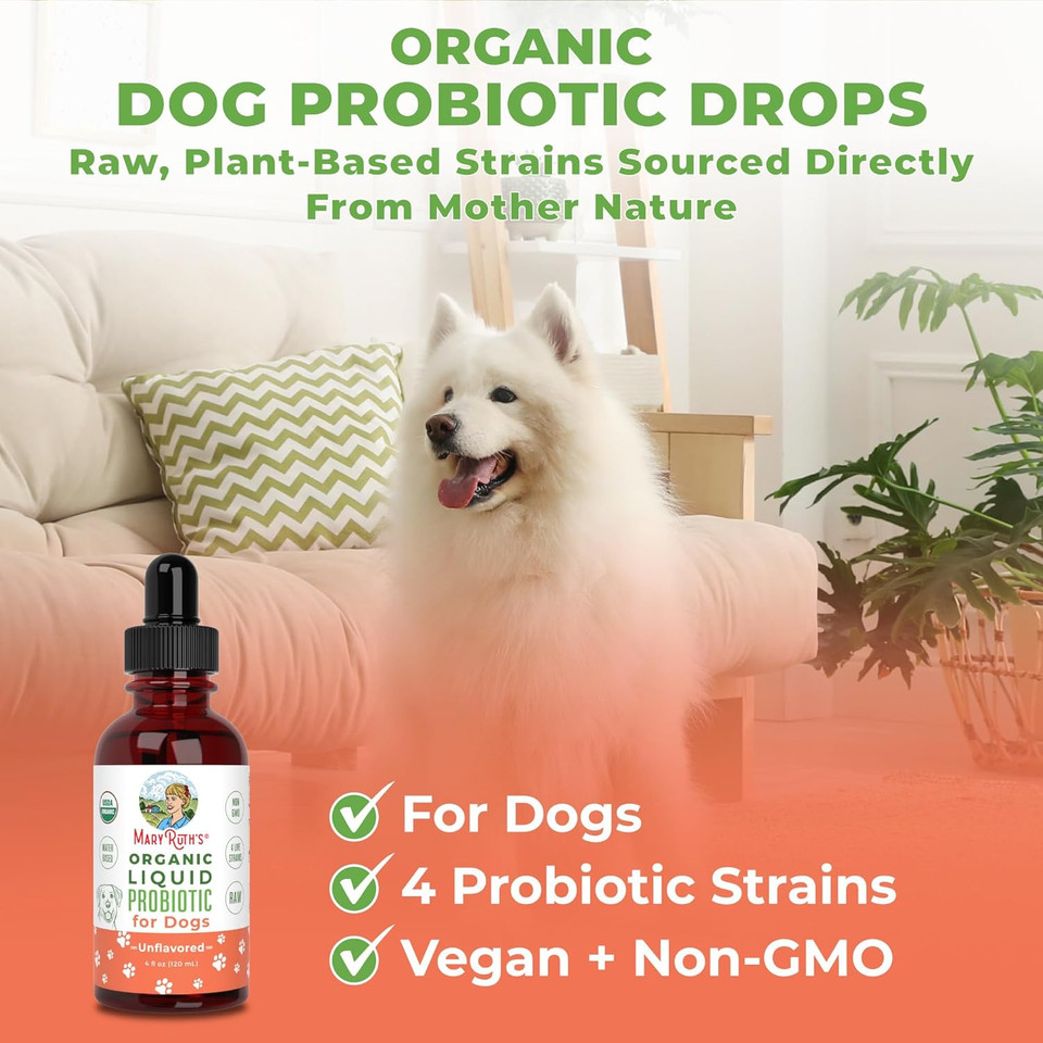 Maryruth Organics Dog Probiotic, Usda Organic Probiotic For Dogs, Dog Probiotic For Digestive Support, Supplement For Gut Health & Beneficial Bacteria, Vegan, Non-Gmo, Gluten Free, 4 Fl Oz