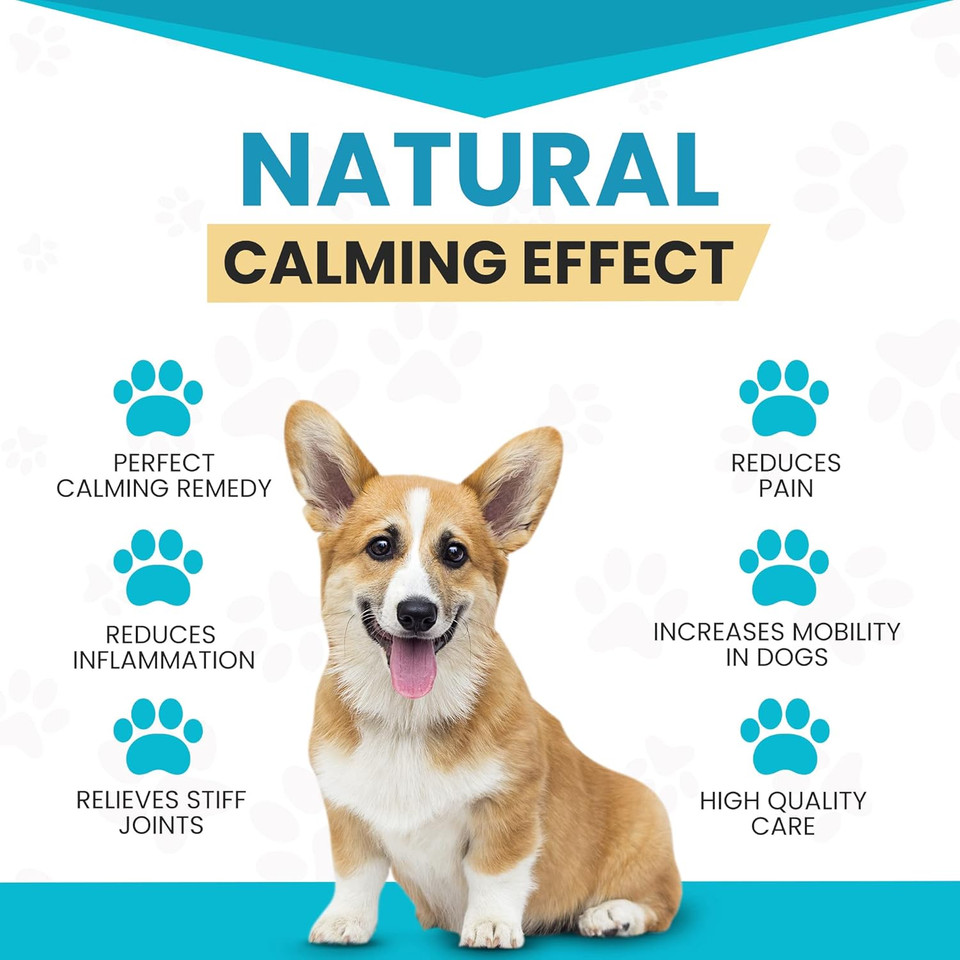 Wanderfound Pets - Hemp Oil For Dogs & Cats 5000Mg - Anti-Separation Anxiety, Joint Pain, Stress Relief, Arthritis, Seizures, Chronic Pain Relief, Anti-Inflammatory - Omega 3, 6, 9-100% Organic