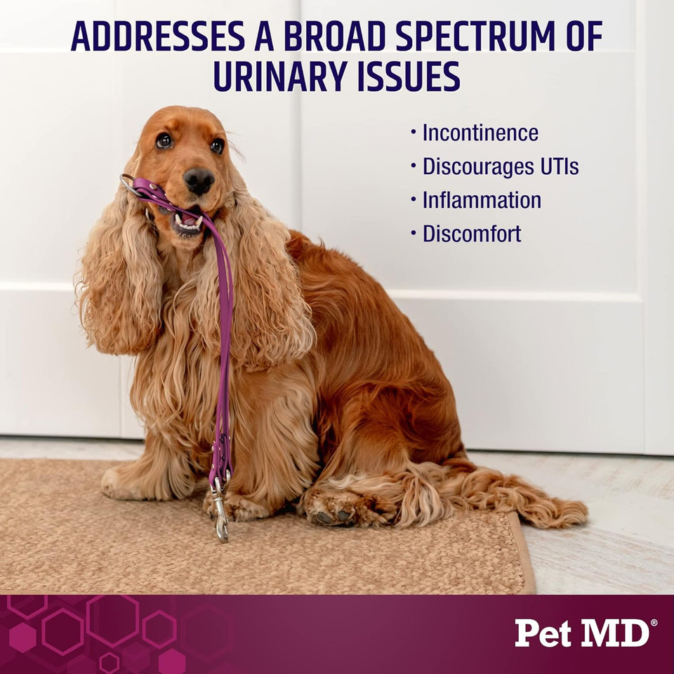 Pet Md Bladder Support Plus Cranberry For Dogs - Support Bladder Control & Urinary Tract Health - Help Relieve Dog Uti & Incontinence - Wild Yam Root & Cranberry Bladder Bites For Dogs - 60 Ct