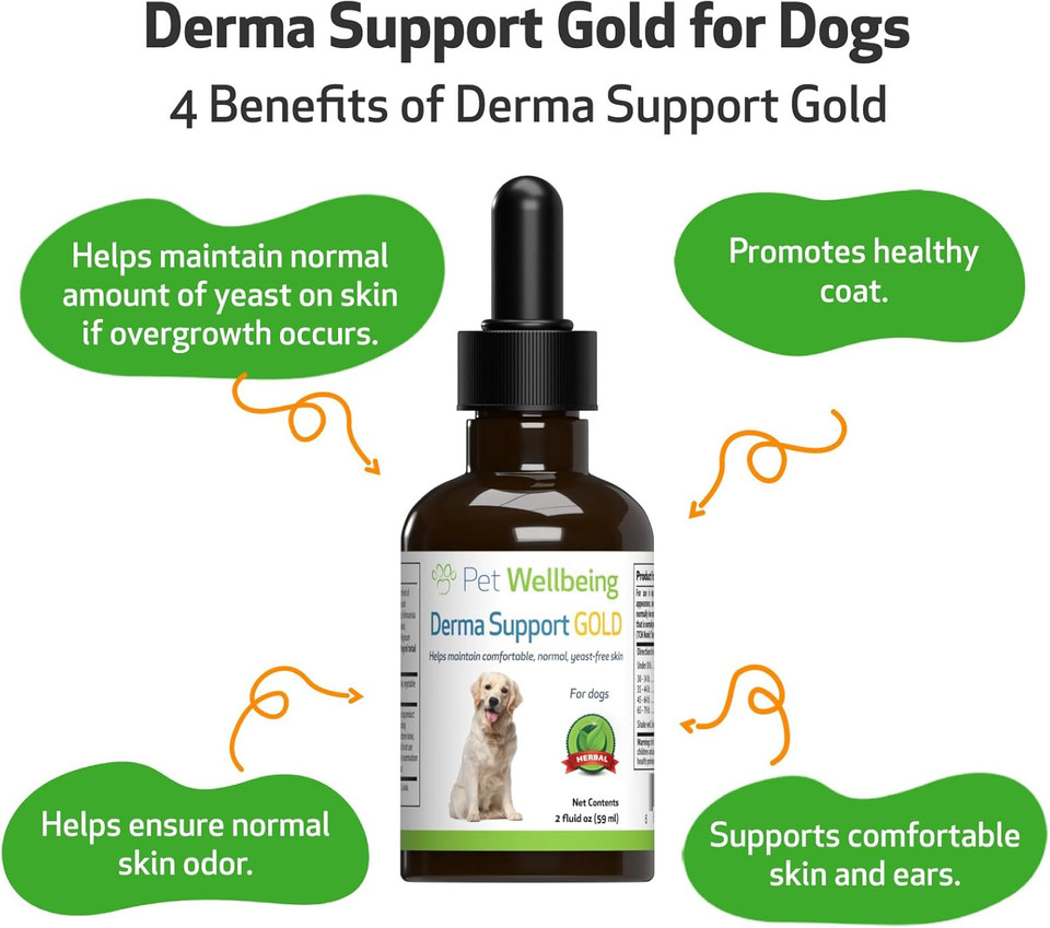 Pet Wellbeing Derma Support Gold For Dogs - Vet-Formulated - Normal Skin Yeast Balance, Skin Itching & Odor - Natural Herbal Supplement 2 Oz (59 Ml)