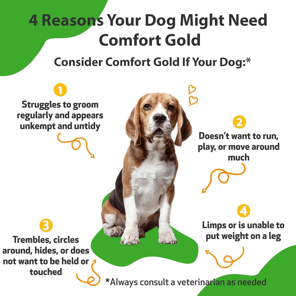 Pet Wellbeing Comfort Gold For Dogs - Natural Pain Relief For Canines - 2 Oz (59Ml)