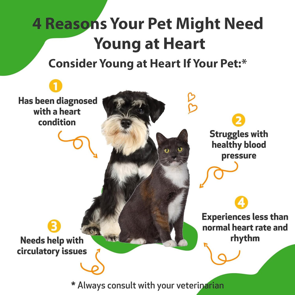 Pet Wellbeing Young At Heart For Dogs & Cats - Vet-Formulated - Supports Cardiovascular System | Heart & Circulatory Health - Natural Herbal Supplement 4 Oz (118 Ml)