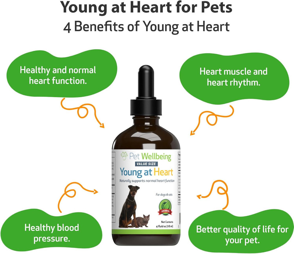 Pet Wellbeing Young At Heart For Dogs & Cats - Vet-Formulated - Supports Cardiovascular System | Heart & Circulatory Health - Natural Herbal Supplement 4 Oz (118 Ml)