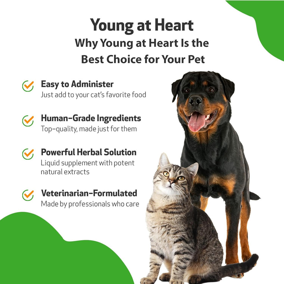 Pet Wellbeing Young At Heart For Dogs & Cats - Vet-Formulated - Supports Cardiovascular System | Heart & Circulatory Health - Natural Herbal Supplement 4 Oz (118 Ml)