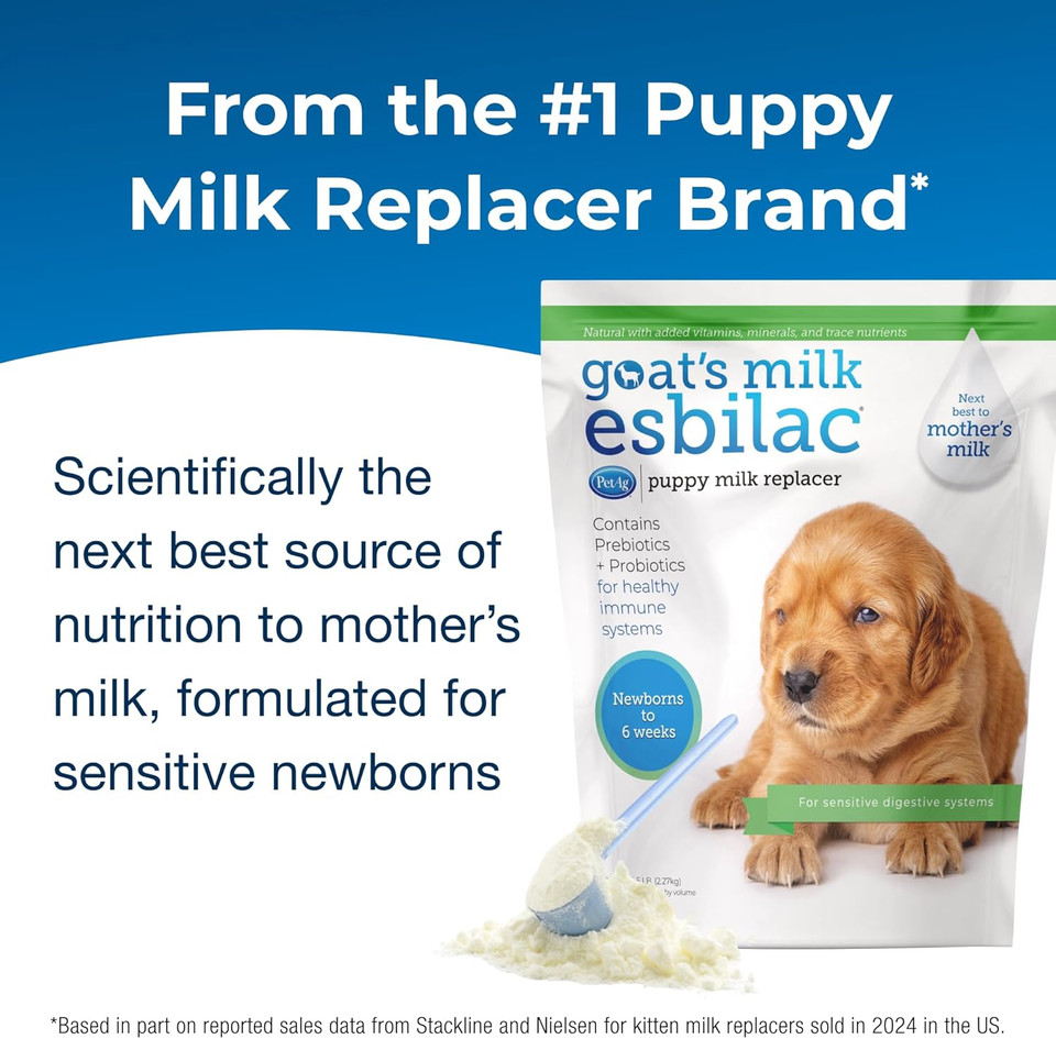 Pet-Ag Goatã¢ÂS Milk Esbilac Powder - 5 Lb - Powdered Puppy Formula With Prebiotics, Probiotics & Vitamins For Puppies Newborn To Six Weeks Old - For Sensitive Digestive Systems
