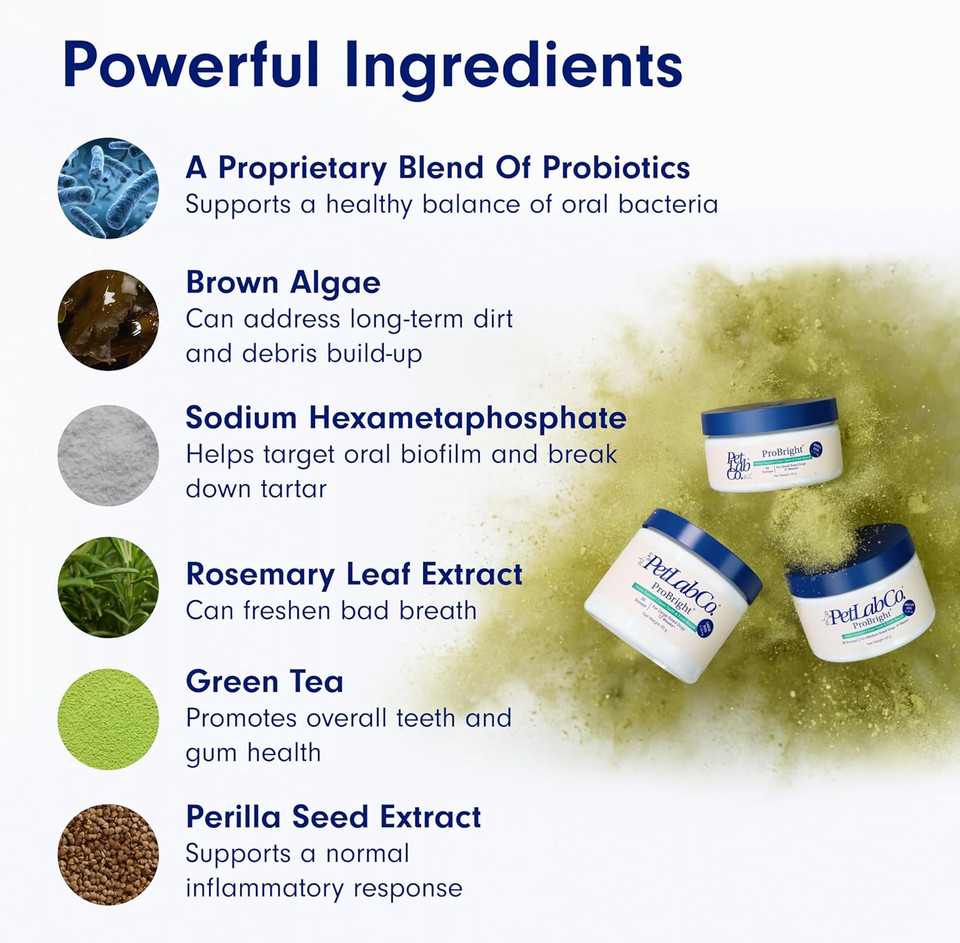 Petlab Co. Probright Dental Powder - Dog Breath Freshener - Teeth Cleaning Made Easy  Targets Tartar & Bad Breath - Formulated For Medium Size Dogs